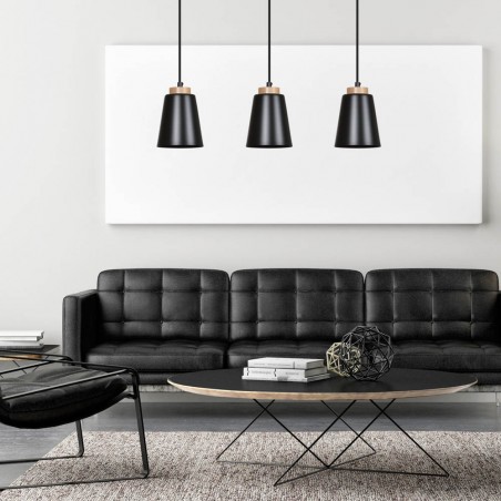Ceiling Track Lamp Lasso Black (3 lights)