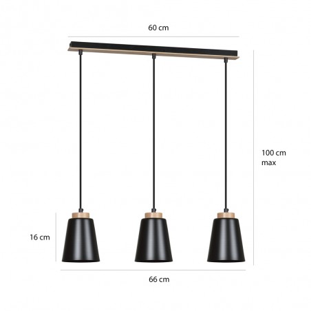 Ceiling Track Lamp Lasso Black (3 lights)