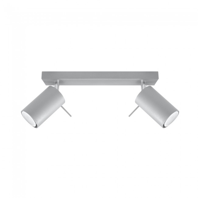 Ceiling track light Ring