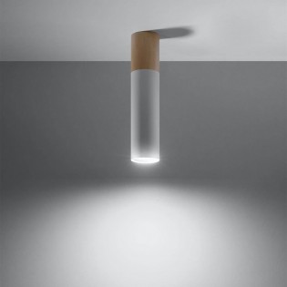 Flush Light Pablo