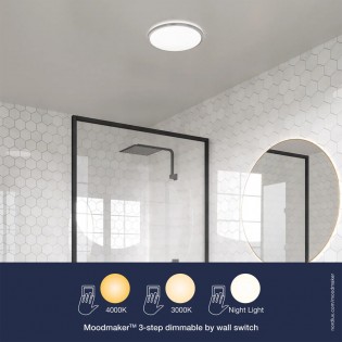 Bathroom's LED Ceiling Flush Light Theros (17W)