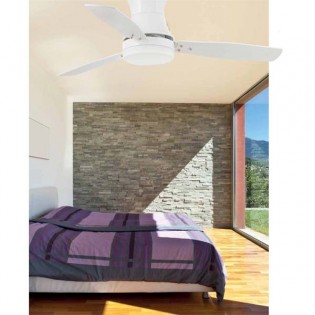 Ceiling Fan with light TONSAY