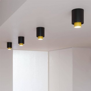 Flush Light Nesi