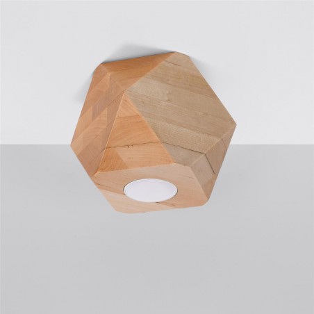 Flush Light Woody