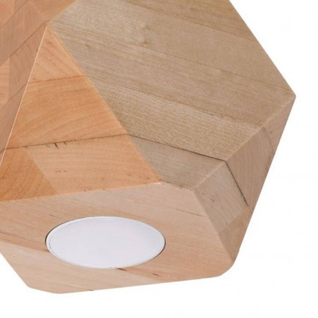 Flush Light Woody