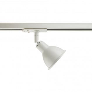 Single Link Rail Spotlight