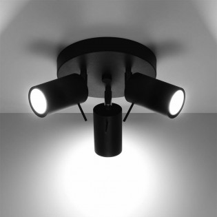 Ceiling Flush Light Ring III (3 lights)