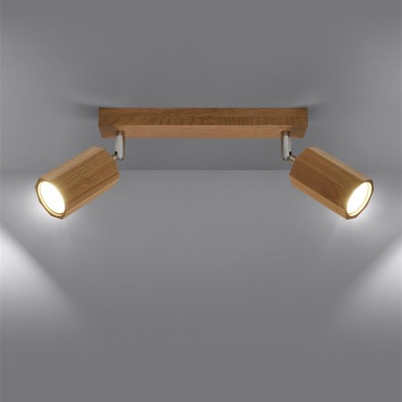 Ceiling track light Zeke