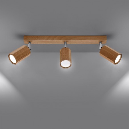 Ceiling track light Zeke (3 Lights)