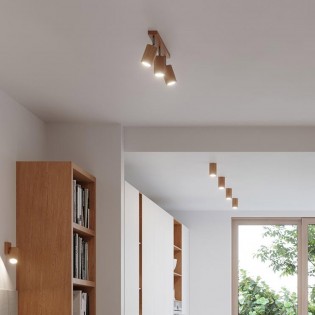 Ceiling track light Zeke (3 Lights)