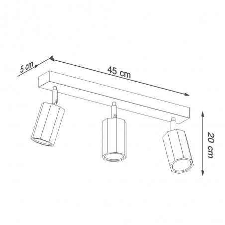 Ceiling track light Zeke (3 Lights)