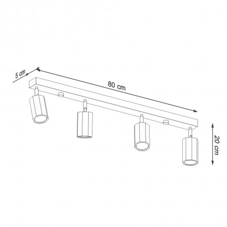 Ceiling track light Zeke (4 Lights)