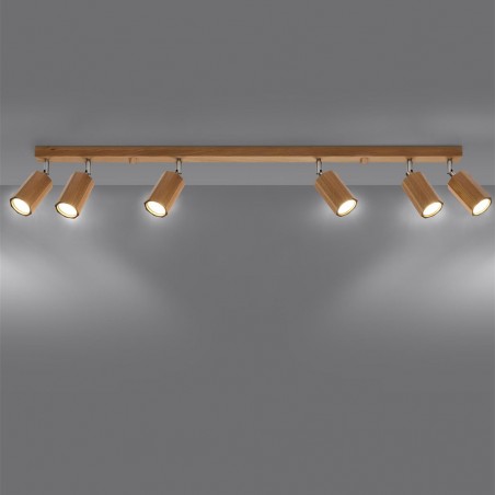Ceiling track light Zeke (6 Lights)