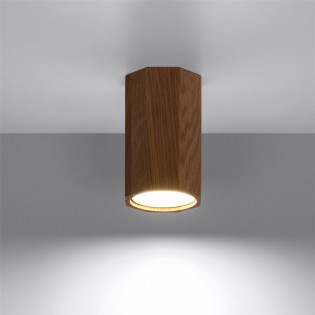 Flush Light Zeke