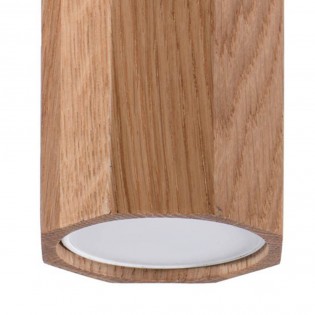 Flush Light Zeke