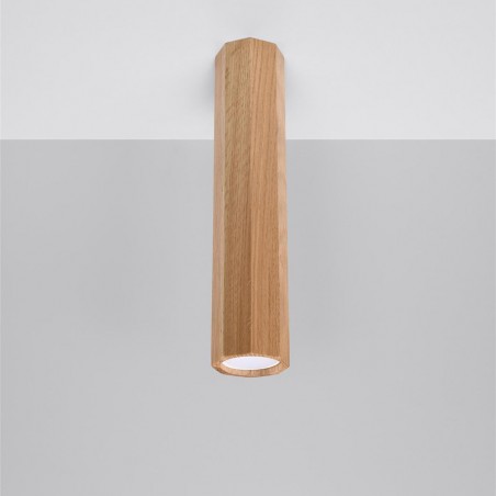 Flush Light Zeke II