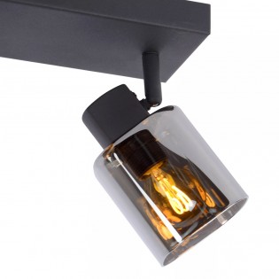 Ceiling Track Lamp Alion (2 lights)