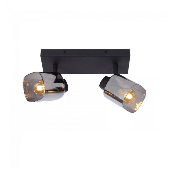 Ceiling Track Lamp Alion (2 lights)