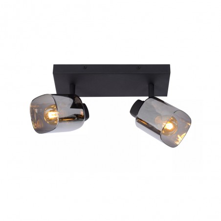 Ceiling Track Lamp Alion (2 lights)