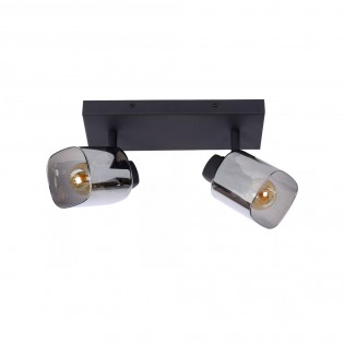 Ceiling Track Lamp Alion (2 lights)