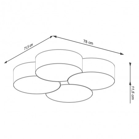 Flush Light Circle (4 Lights)