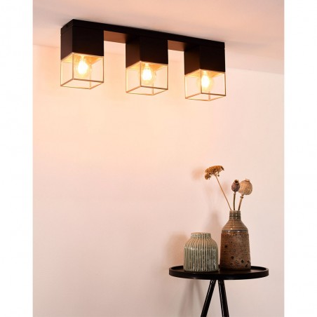 Ceiling Flush Light Rixt (3 lights)