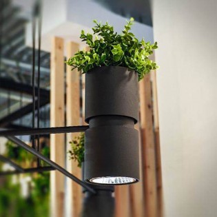 Wall lamp Kukkia