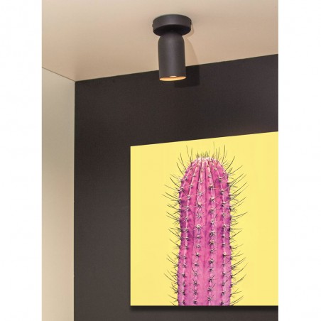 Adjustable Ceiling Spotlight Punch