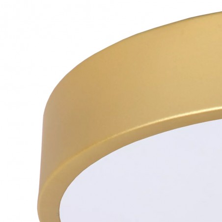 LED Ceiling Flush Light Unar Dimmable (18W)