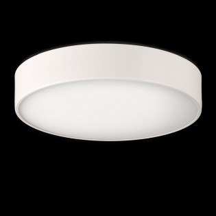 Flush Light Led Dins (24W)