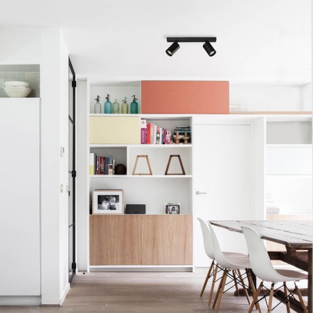 Ceiling track light Gina (2 Lights)