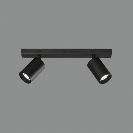 Ceiling track light Gina (2 Lights)
