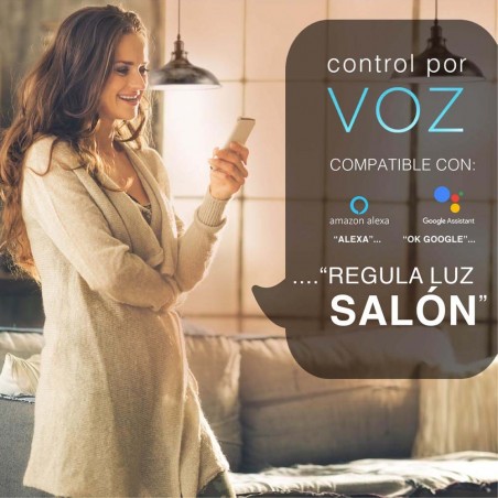 LED-Glühbirne E27 A60 Smart (8W)