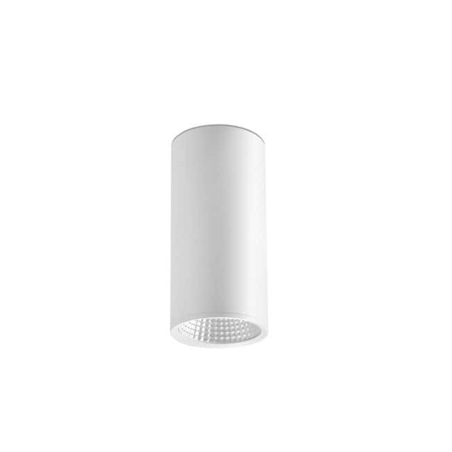 Ceiling flush light LED COB REL (25W)