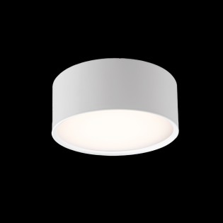Flush Light Led Linus (6W)