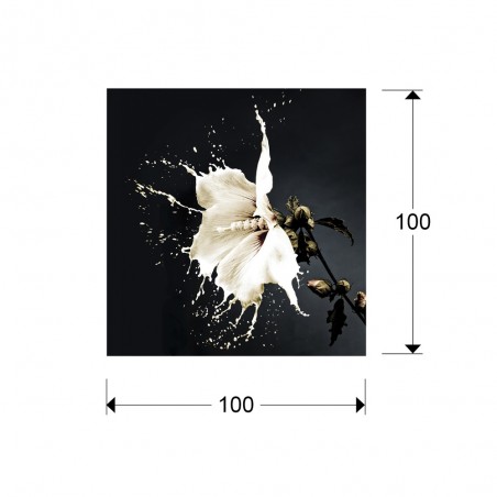 Photo frame Splash