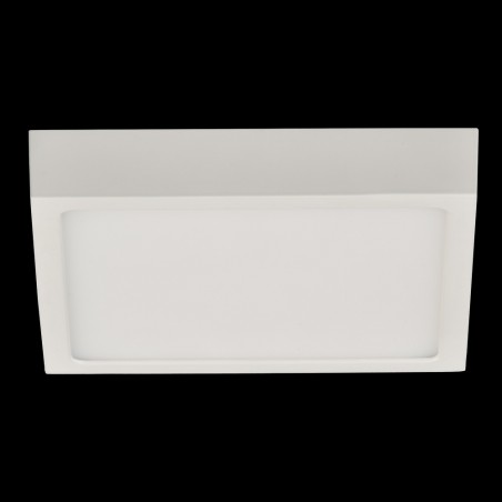 Flush Light Led Roku (12W)