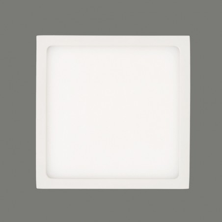 Flush Light Led Roku (12W)