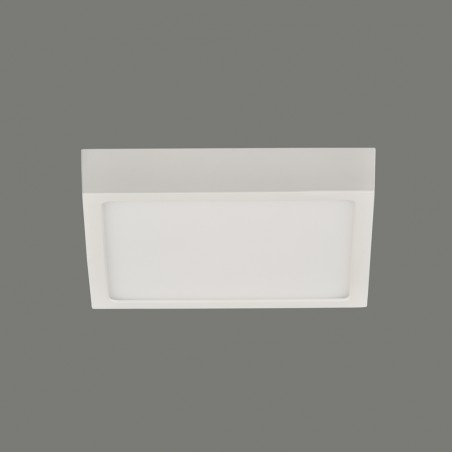 Flush Light Led Roku (12W)