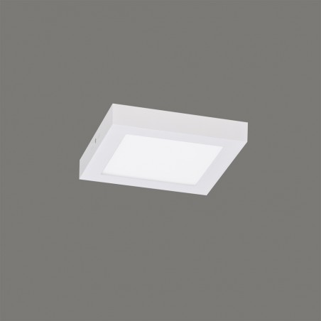 Flush Light Led Sky Box (12W)