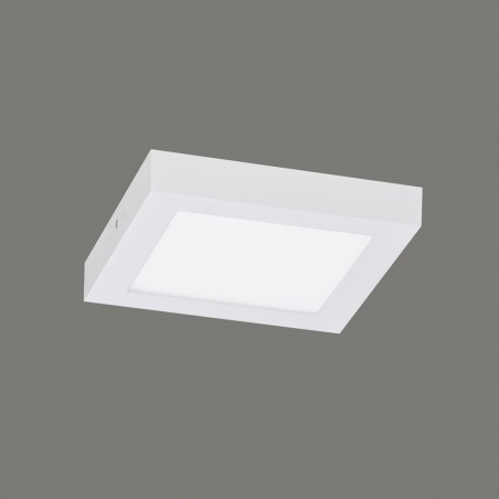 Flush Light Led Sky Box (22W)