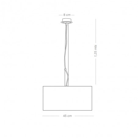 Ceiling Lamp Bertuli Silver