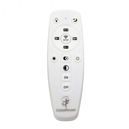 LED Ceiling Flush Light Otie CCT Smart (135W)