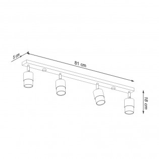Ceiling track light Nero (4 Lights)