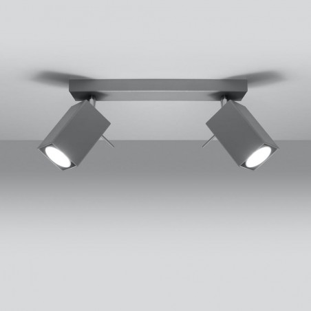 Ceiling track light Merida (2 Lights) II