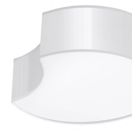 Flush Light Circle (2 Lights)