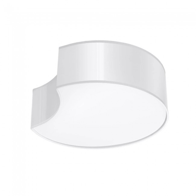 Flush Light Circle (2 Lights)