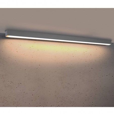 Flush Light Led Pinne (31W) III
