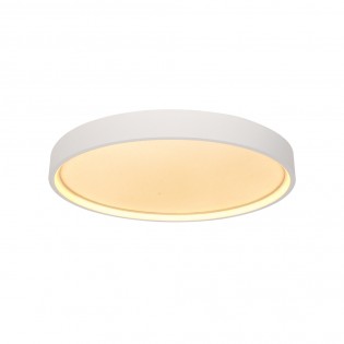 LED Ceiling Flush Light Aster (30W)