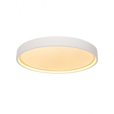 Aster LED-Deckenleuchte (30W)